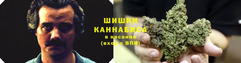 Каннабис Bruce Banner  Десногорск 